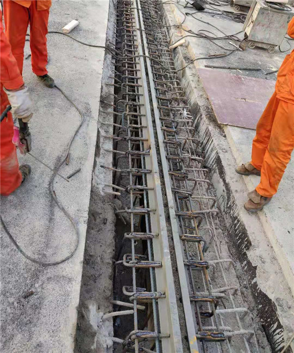 沣西新城咸户路跨绿廊桥桥梁伸缩装置工程